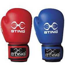 Sting Boxing Gloves